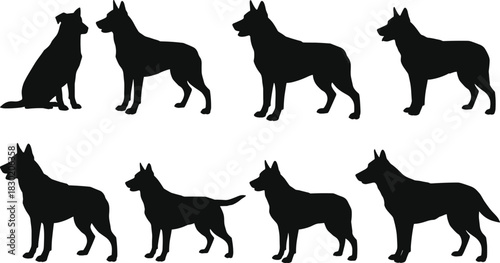 Dog silhouettes, German Shepherd poses, canine illustration, pet artwork, animal design, sitting dog, standing dog, dog collection, domestic animals, silhouette art