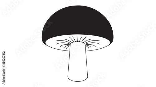 Mushroom vector illustration simple black and white line art isolated on white background