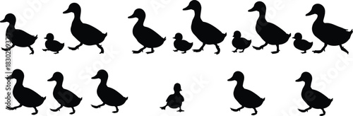 Duck silhouettes walking in two rows, adult ducks with ducklings, animal family illustration, wildlife pattern, educational nature design artwork
