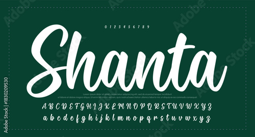 
signature Font Calligraphy Logotype Script Brush Font Type Font lettering handwritten 