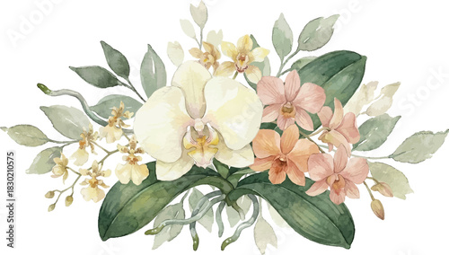 An Orchid Flower Ornament watercolor for Invitation Border