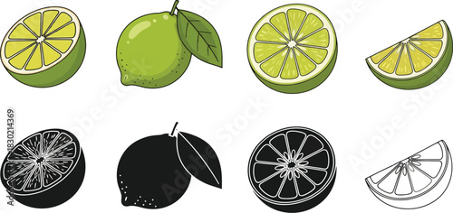 Illustrations of limes in various states whole halved and sliced