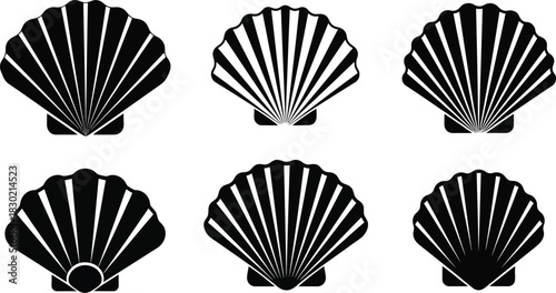 A collection of six black and white scallop shell illustrations in a grid
