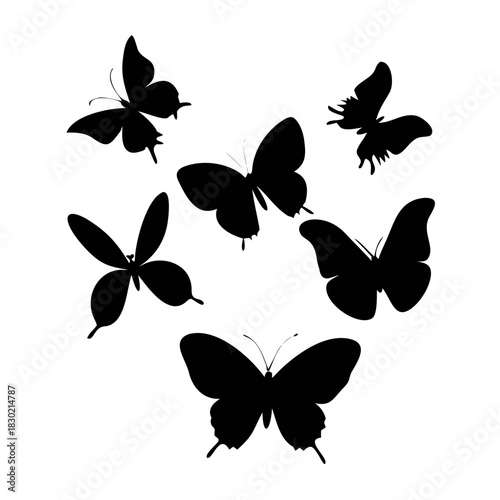 Silhouettes of butterflies, Insect butterfly black silhouettes, Set of tattoo and sticker type vector butterflies