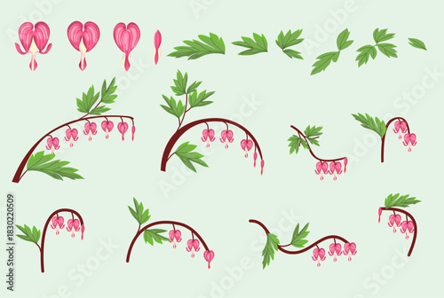 Bleeding Heart Flower Botanical Elements Collection