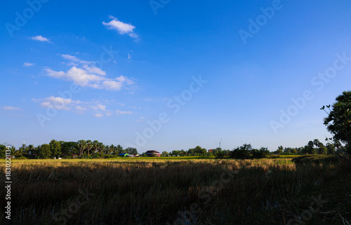 Vast Blue Sky Over Harvested Field and Tropical Village Landscape