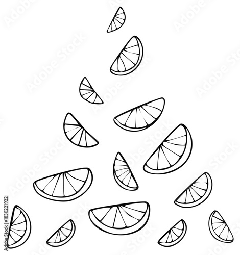 Stylized black and white citrus fruit slices pattern. Simple hand drawn outline illustration for design.