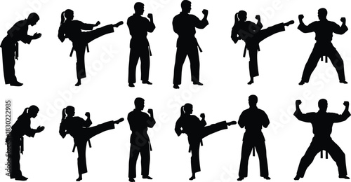 Black Silhouette Martial Arts Poses Vector Set: Karate, Taekwondo, High Kick, Self Defense Training, and Combat Sports Graphics
