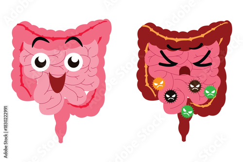 Healthy and unhealthy intestines illustration showing cheerful gut versus infected, irritated digestive system.