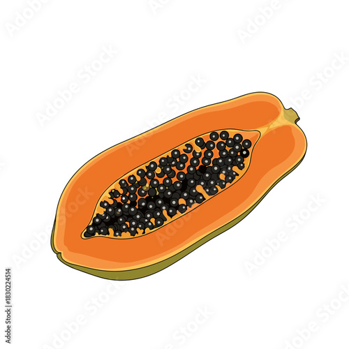 A vibrant illustration of a ripe tropical papaya fruit cut in half, revealing its sweet orange flesh and glossy black seeds, isolated on a white background.