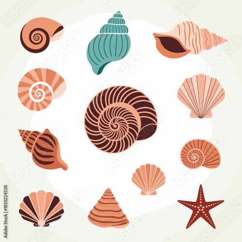 Illustrated set of diverse seashells and a starfish in warm, natural colors, perfect for summer, beach, or ocean-themed designs.