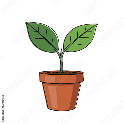 A simple illustration of a young green plant with two leaves growing in a terracotta pot, symbolizing new beginnings and nature.