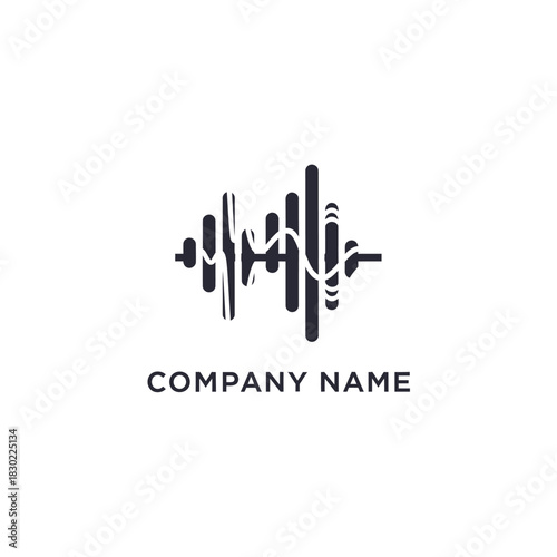 Audio Waveform Logo Design for Company Name.