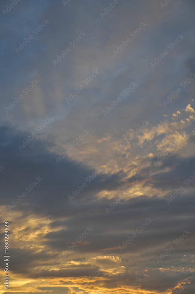 Naklejka premium 夕暮れ