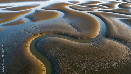 Aerial view of winding tidal channels forming abstract patterns on coastal sand.