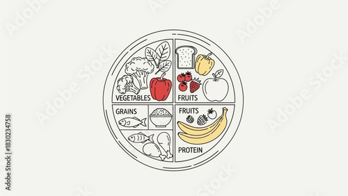 Illustration of a divided food plate showing sections for vegetables, fruits, grains, and protein, with various food items depicted in each category.