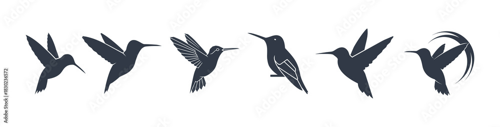Obraz premium Set of hummingbird silhouettes in various flight poses isolated on white