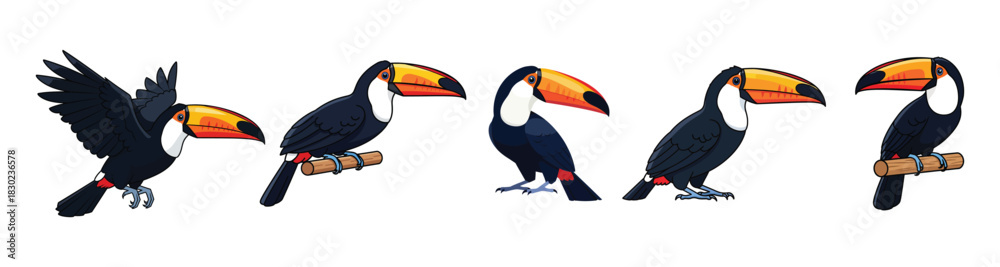 Fototapeta premium Vibrant cartoon toucan illustrations in diverse poses, perfect for tropical designs and playful concepts