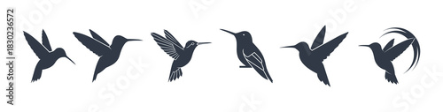 Set of hummingbird silhouettes in various flight poses isolated on white