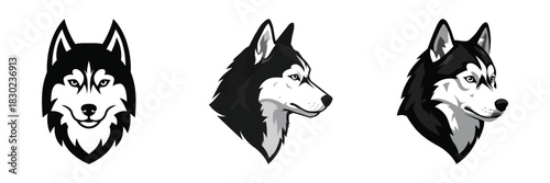 Wolf head profile and frontal view illustration with black and white