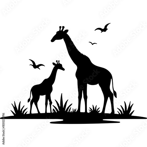 Mother giraffe and her baby giraffe are standing next to each other. Engraving minimalistic vector in black ink drawing on transparent background