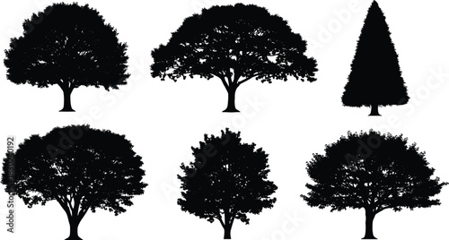 Black Tree Silhouettes Vector Set, Diverse Deciduous and Evergreen Woods, Nature Collection, Detailed Foliage Shapes, Isolated Forest Elements, Landscape Design Stock Illustration