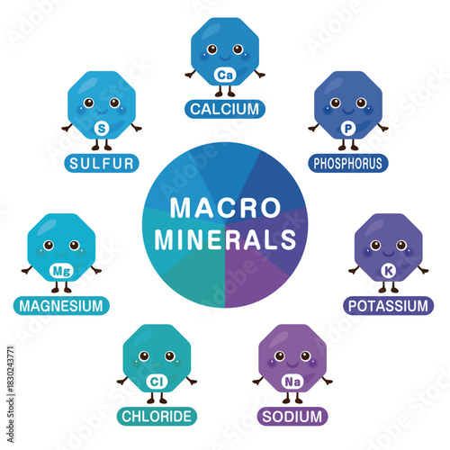 多量ミネラルのキャラクターイラストセット　英語／Macrominerals Character Illustration Set – English Version