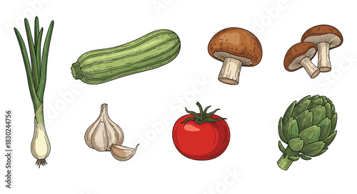 Colorful collection of hand-drawn fresh vegetables and edible fungi, including scallions, zucchini, garlic, tomatoes, and artichokes.