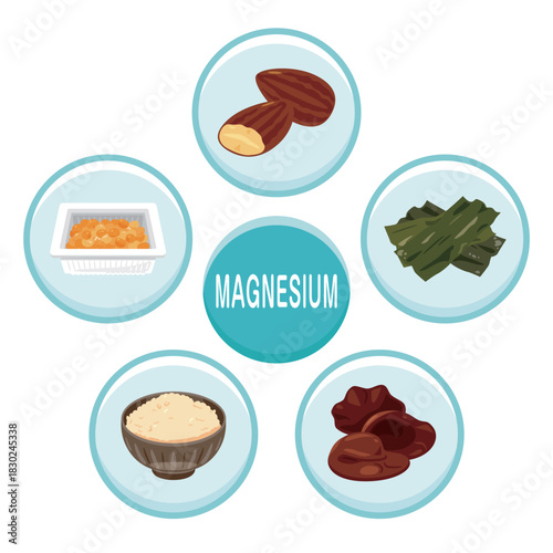 マグネシウムを多く含む食品のイラストセット　英語／Magnesium-Rich Foods Illustration Set – English Version