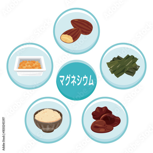 マグネシウムを多く含む食品のイラストセット　日本語／Magnesium-Rich Foods Illustration Set – Japanese Version