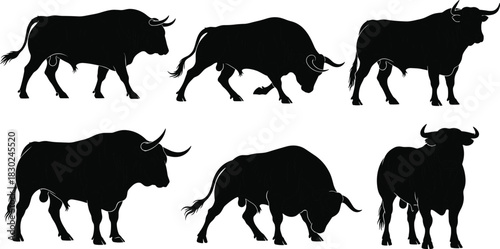 Set of black bull silhouettes, vector illustration of angry fighting bulls in various poses, isolated animals standing and charging on white background.