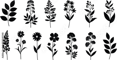 Set of black floral silhouettes featuring various wild flowers, leaves, and botanical sprigs, perfect for minimalist wedding invitations, branding, logo design, and natural decoration.