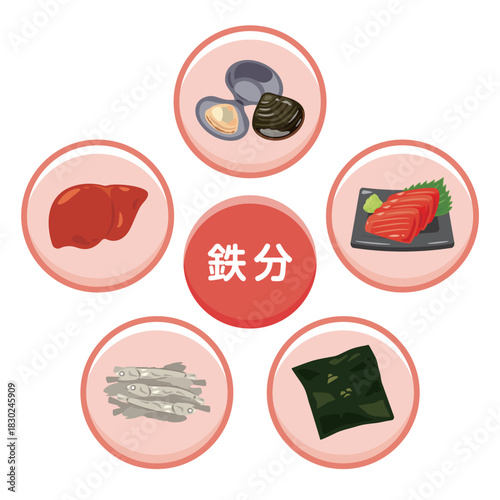 鉄分を多く含む食品のイラストセット　日本語／Iron-Rich Foods Illustration Set – Japanese Version