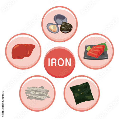 鉄分を多く含む食品のイラストセット　英語／Iron-Rich Foods Illustration Set – English Version