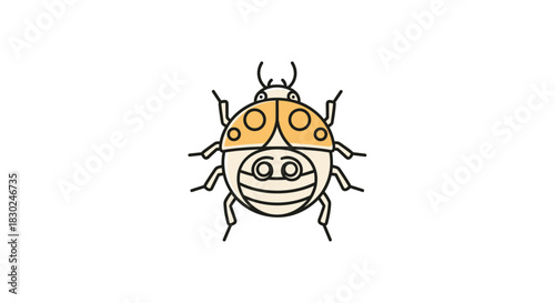 A bright and friendly cartoon illustration of an orange and white ladybug with distinctive spots and antennae, on a clean white background.