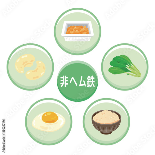 非ヘム鉄を多く含む食品のイラストセット　日本語／Non-Heme Iron–Rich Foods Illustration Set – Japanese Version