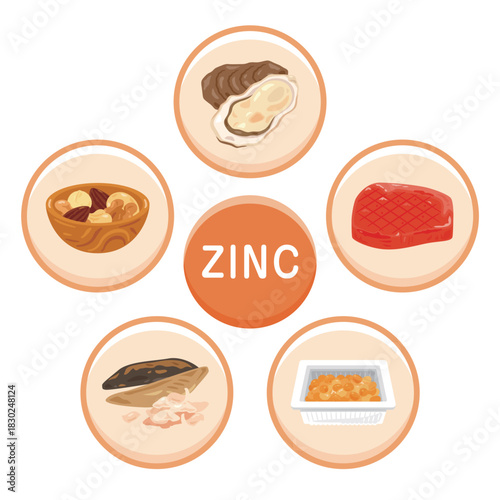 亜鉛を多く含む食品のイラストセット　英語／Zinc-Rich Foods Illustration Set – English Version