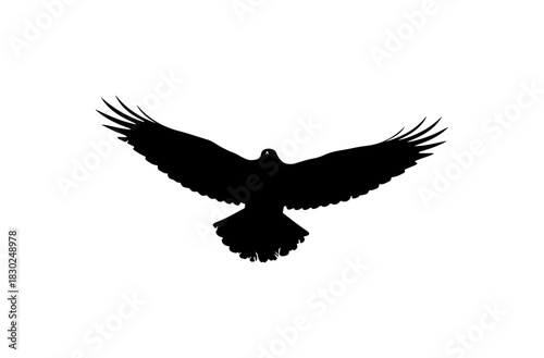 Flying Bird Silhouette
