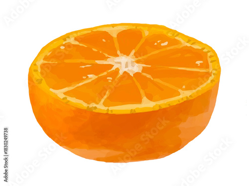 半分にカットしたみかん ベクターイラスト (料理素材)