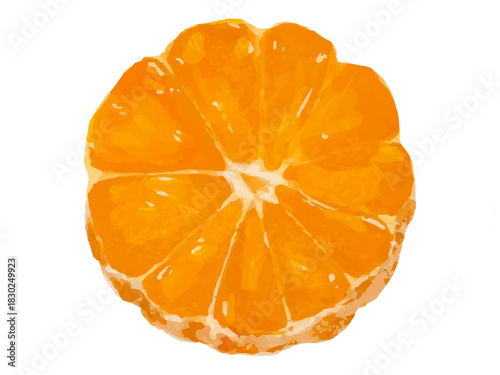 飾り切りみかんのベクターイラスト(料理素材・デザート)