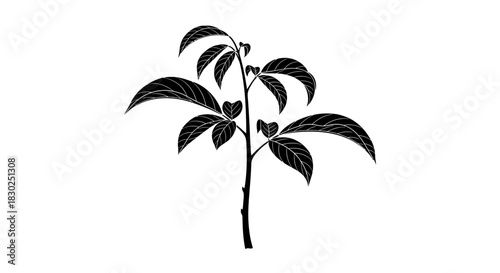 Silhouette of a plant with multiple leaves on a white background.