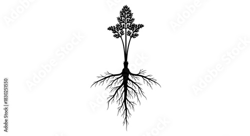 Artistic illustration of a tree with roots and branches black and white.