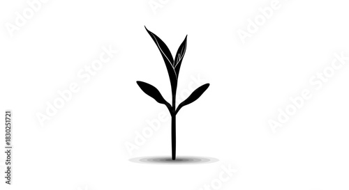 Simple black silhouette of a growing plant sprout icon.