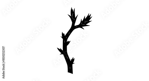 Minimalist Black Silhouette of a Thorny Branch Illustration.
