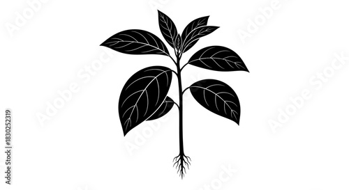 Black Silhouette of a Young Plant with Roots and Leaves.