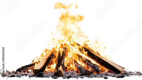 A bonfire with large flames and charred wood on a bed of ash against a black background image view