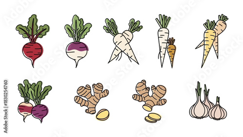 Hand drawn collection of colorful root vegetables and spices.