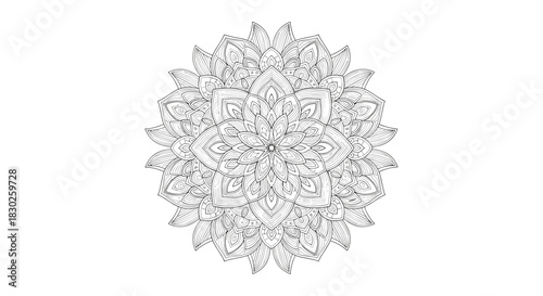 Detailed black and white line art mandala illustration with intricate floral and geometric patterns, perfect for relaxation and mindfulness coloring.
