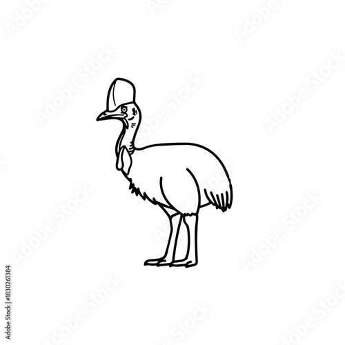 Cassowary Illustration Exotic Bird Outline