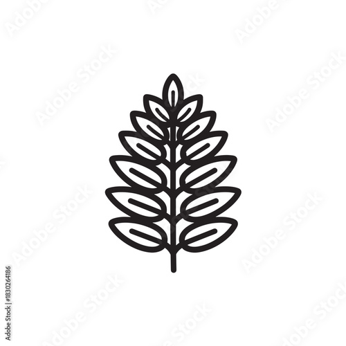 Fern leaf line art vintage herbal garden illustration